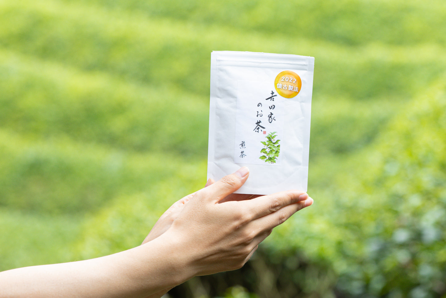 1,500円プラン(茶農家さんおススメ茶3種飲み比べ付)