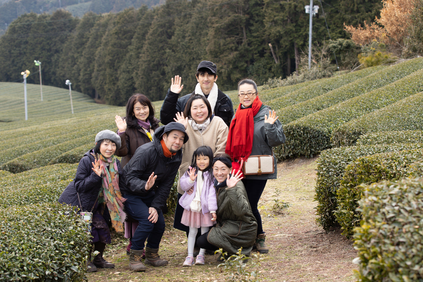 2,500円プラン(お抹茶2種飲み比べ付き)
